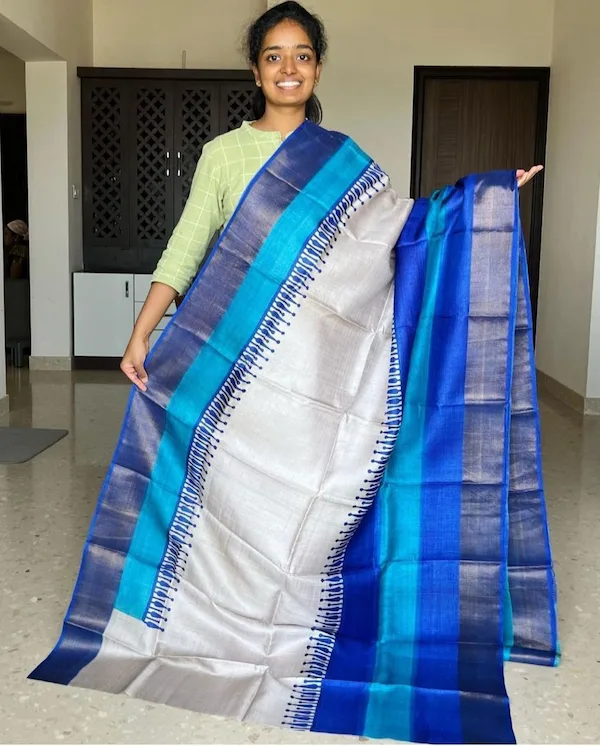 Pure Tussar Silk Handloom Saree | Bhagalpuri Panel Design Saree