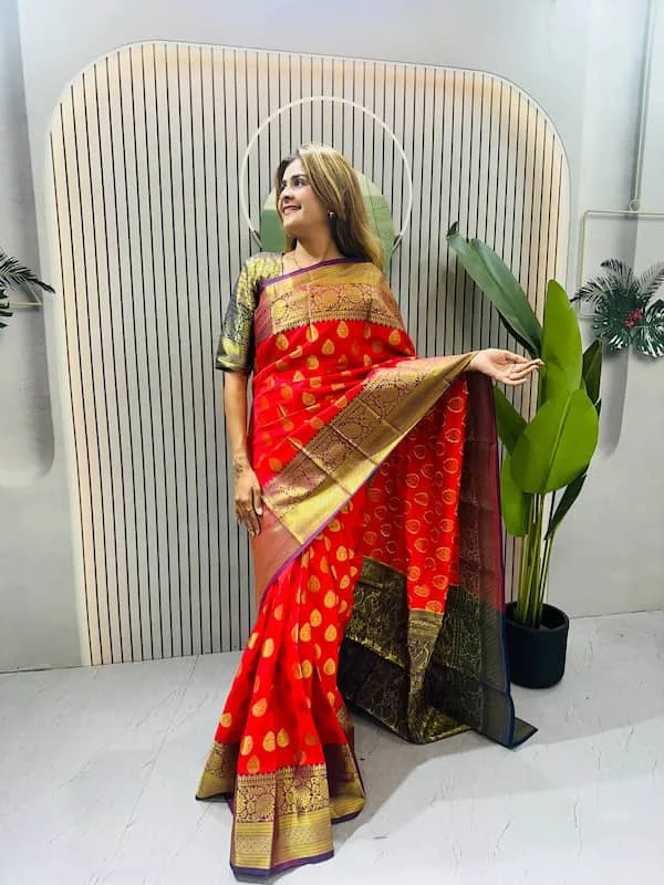 Silk Zip & Go Jequard Gown Saree